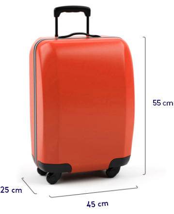 markeerstift Rafflesia Arnoldi audit SmartLynx Airlines Baggage Info | SmartLynx Airlines